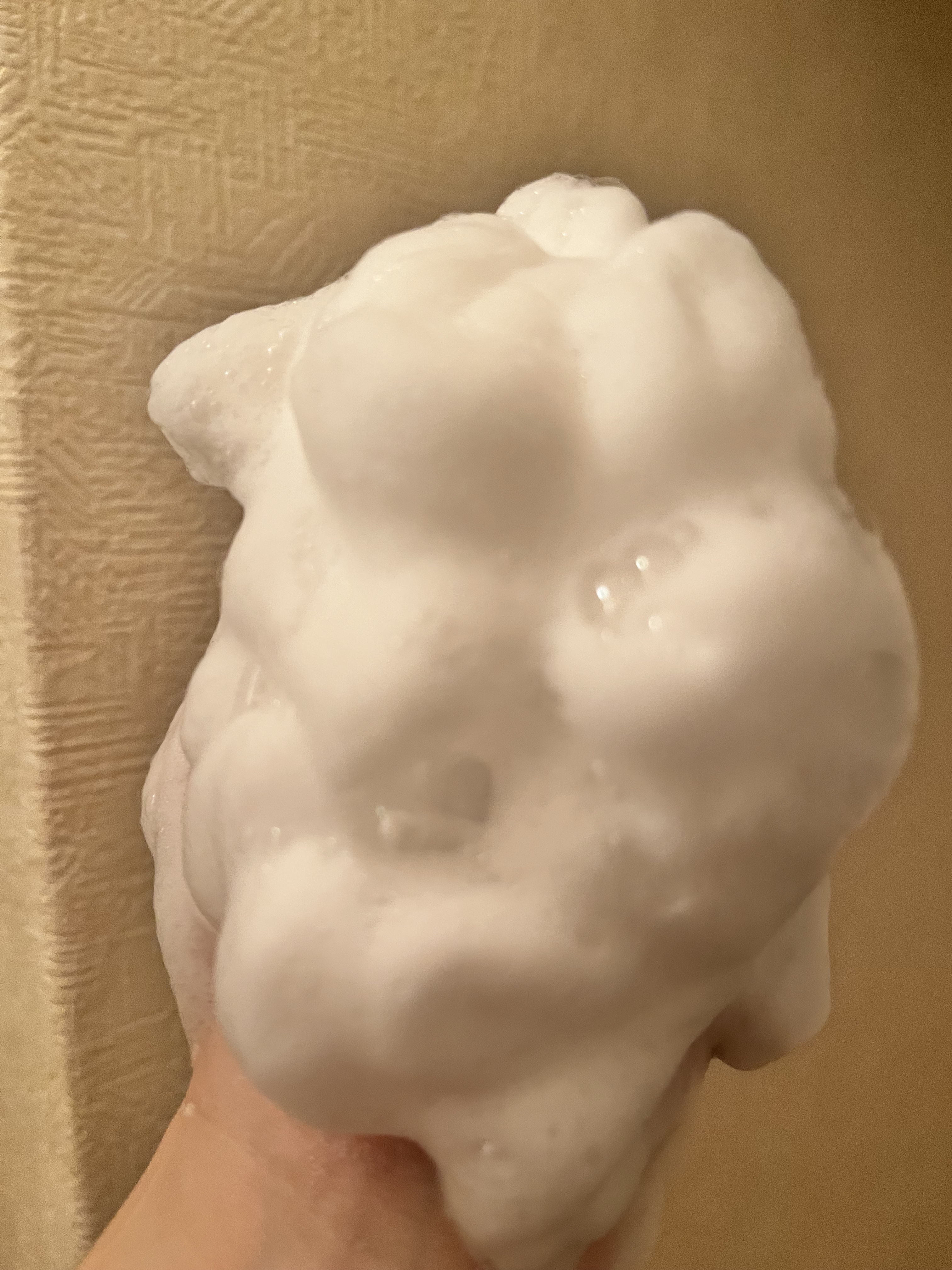 バイタルコンディショニング ドットクリア /フェヴリナ/洗顔パウダーを使ったクチコミ（3枚目）