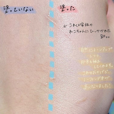 ジューシーパン スキンケアプライマー/A’pieu/化粧下地を使ったクチコミ（3枚目）