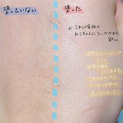 ジューシーパン スキンケアプライマー/A’pieu/化粧下地を使ったクチコミ(3枚目)