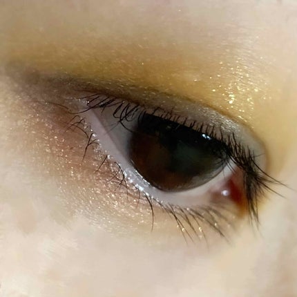 ヴォランタリーベイシス アイパレット/Celvoke/アイシャドウパレットを使ったクチコミ(4枚目)