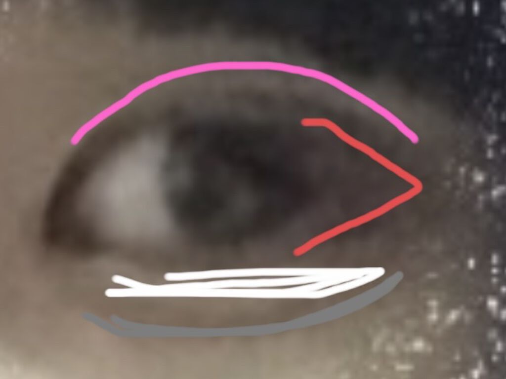 シルキースフレアイズ（マットタイプ）/キャンメイク/アイシャドウパレットを使ったクチコミ（2枚目）