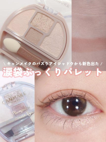 プランぷくコーデアイズ/キャンメイク/パウダーアイシャドウを使ったクチコミ(1枚目)