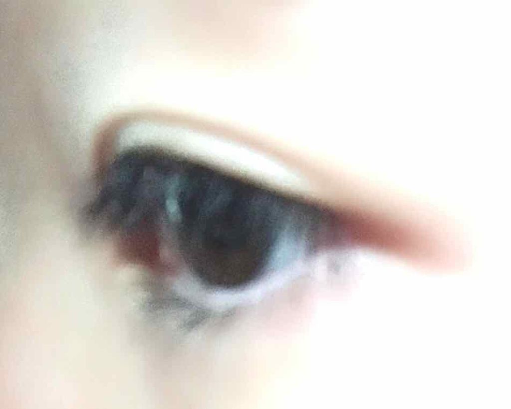 クイックラッシュカーラー/キャンメイク/マスカラ下地を使ったクチコミ（2枚目）