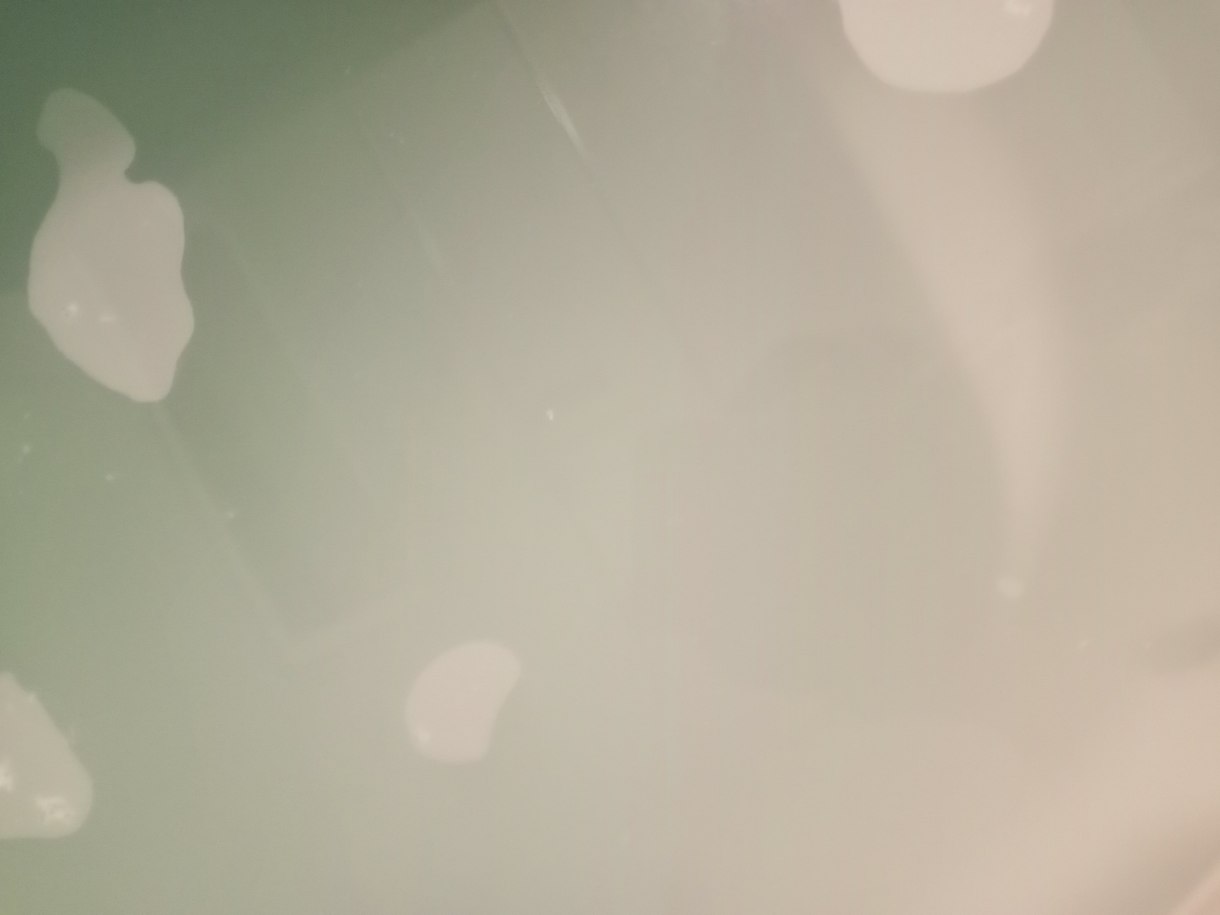 クレンジングリサーチ バスパウダー すっきりタイプのクチコミ「 #冬に備えるうるおいケア 
クレンジングリサーチバスパウダー すっきりタイプ

最初とてもた.....」（3枚目）