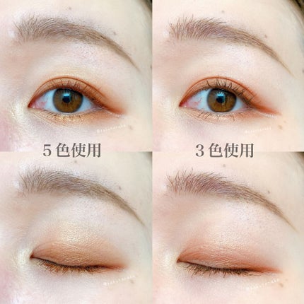 【旧】サンク クルール クチュール/Dior/アイシャドウパレットを使ったクチコミ(8枚目)