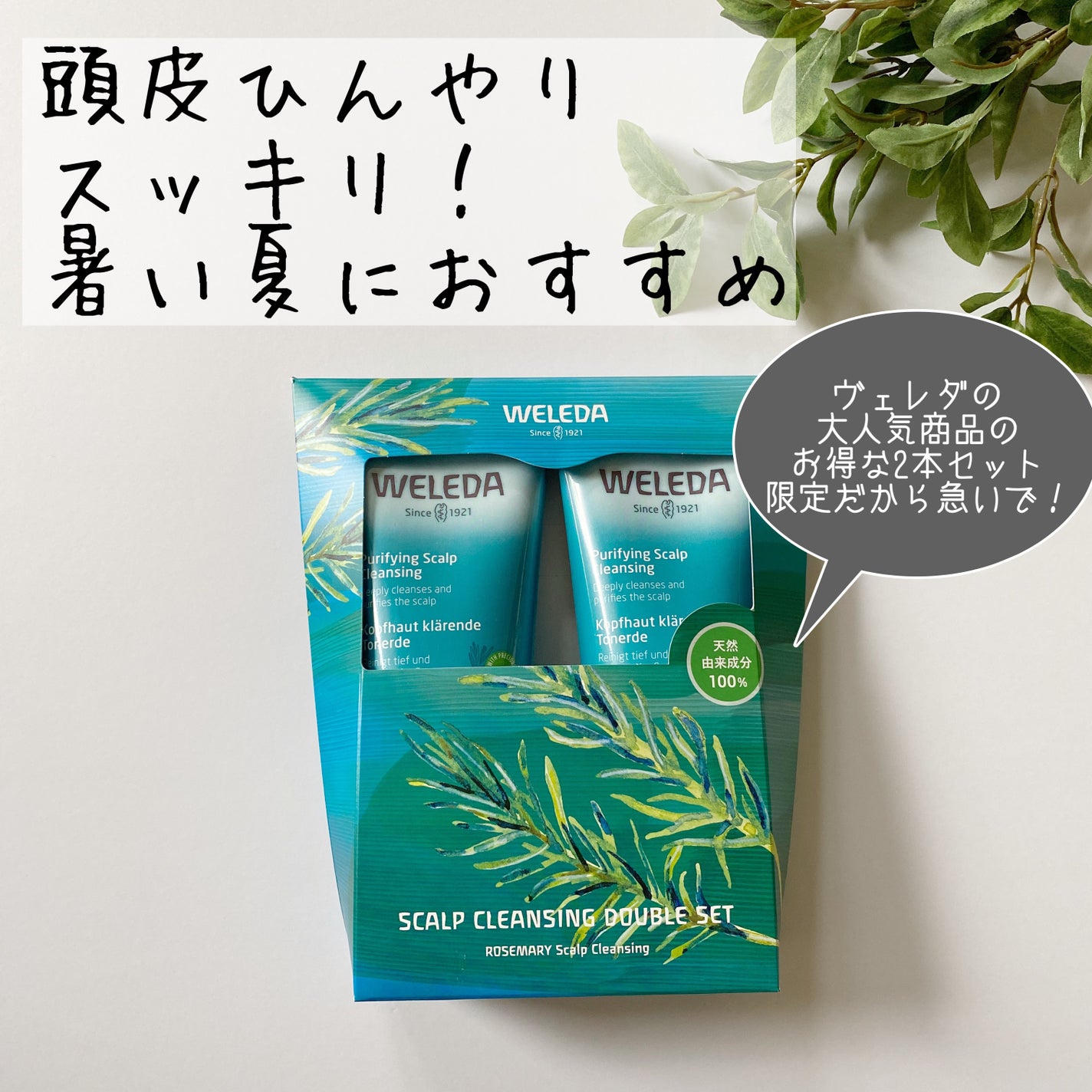 ローズマリー スカルプクレンジング/WELEDA/頭皮クレンジングを使ったクチコミ(1枚目)