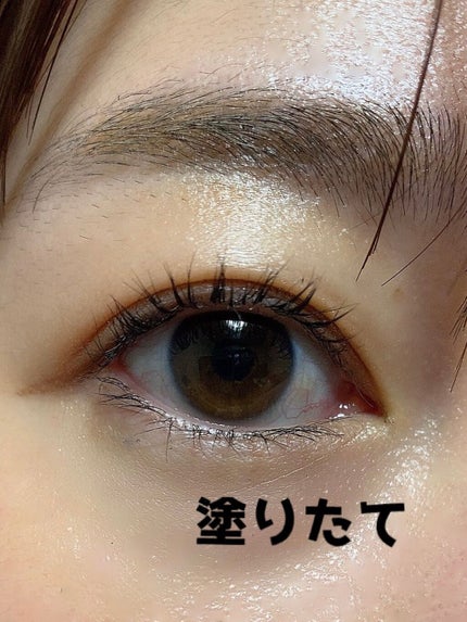ラッシュエキスパンダー ロングロングロング EX/MAJOLICA MAJORCA/マスカラを使ったクチコミ(3枚目)