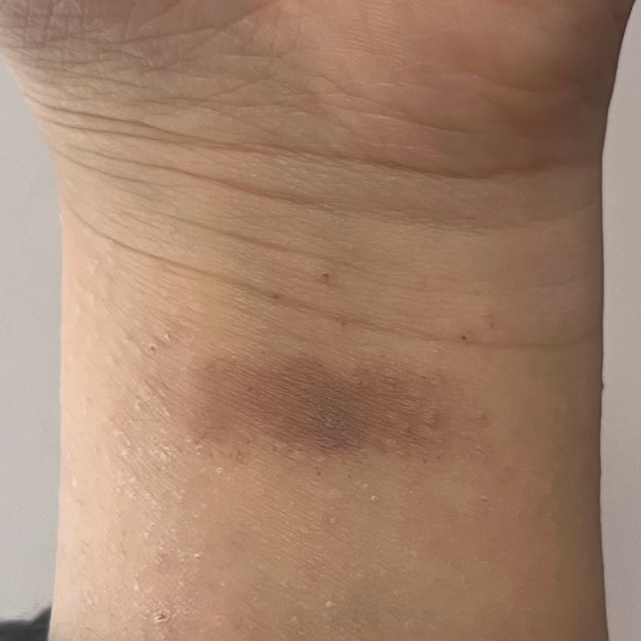 ハンオールブロウカラ/rom&nd/眉マスカラを使ったクチコミ(3枚目)