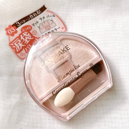 プランぷくコーデアイズ/キャンメイク/パウダーアイシャドウを使ったクチコミ(6枚目)