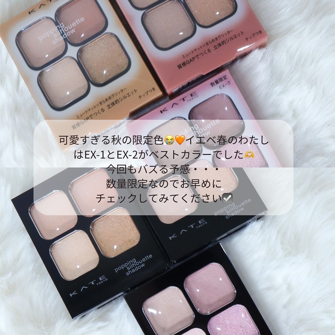 2024年秋新作アイシャドウパレット】ケイト ポッピングシルエット