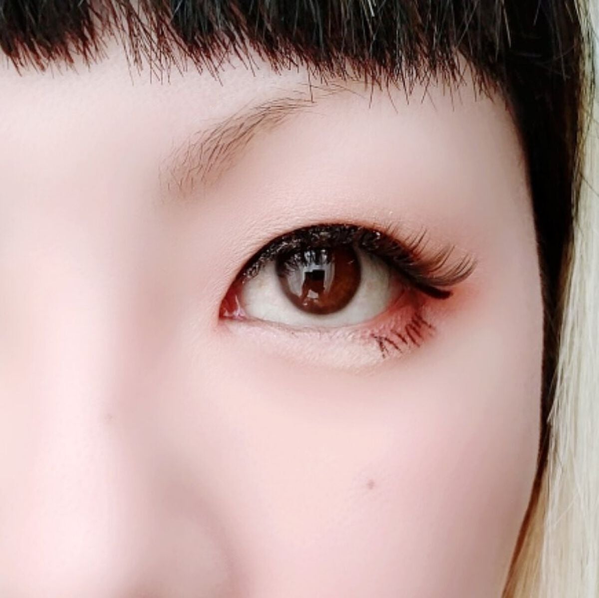 Love Bear 9色 アイシャドウパレット/FlowerKnows/アイシャドウパレットを使ったクチコミ(6枚目)