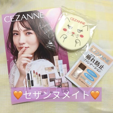 セザンヌメイト/CEZANNE/書籍を使ったクチコミ（1枚目）