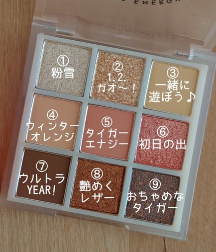 ムジークタイガープレイカラーアイズ/ETUDE/アイシャドウパレットを使ったクチコミ(2枚目)