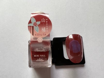 ミニネイル/パラドゥ/マニキュアを使ったクチコミ(2枚目)