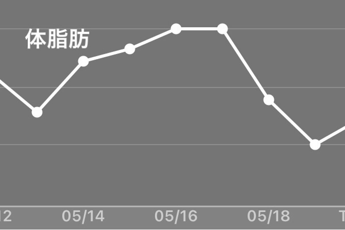 めも on LIPS 「【自分用メモ】体脂肪減らしたい!チャレンジ●5月13日49.1..」(3枚目)