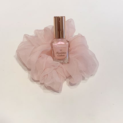 ファンデーションカラーズ/キャンメイク/マニキュアを使ったクチコミ(1枚目)