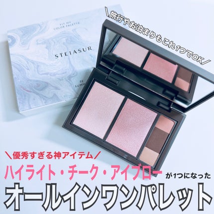 フィット my カラーパレット/STEIASUR(ステイアシュール)/マルチパレットを使ったクチコミ(1枚目)