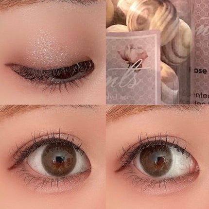 ウォンジョンヨ W デイリームードアップパレット /Wonjungyo/アイシャドウパレットを使ったクチコミ(4枚目)