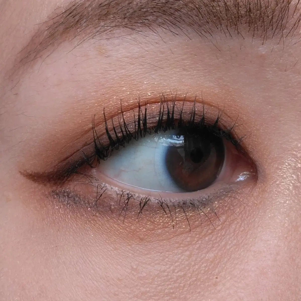 NARS ラグナ アルティメイト フェイスパレット/NARS/アイシャドウパレットを使ったクチコミ(3枚目)