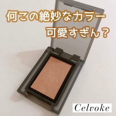 ヴァティック アイズ 13 テキサスベージュ/Celvoke/シングルアイシャドウを使ったクチコミ（1枚目）