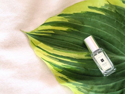 Jo MALONE LONDON ウッド セージ & シー ソルト コロンのクチコミ「【ウッドセージ&シーソルト】by Jo Malone
今は遠出が出来ないけど、香りって記憶を.....」(2枚目)