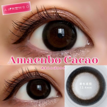 エバーカラーワンデーミリモア/エバーカラー/ワンデー(1DAY)カラコンを使ったクチコミ(6枚目)