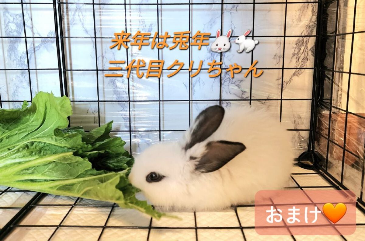 ピーチスキンフィッティングベース/espoir/化粧下地を使ったクチコミ(7枚目)