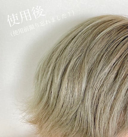 スリークbyサラサロン ファイバーオイル/スリーク by サラサロン/ヘアオイルを使ったクチコミ(5枚目)