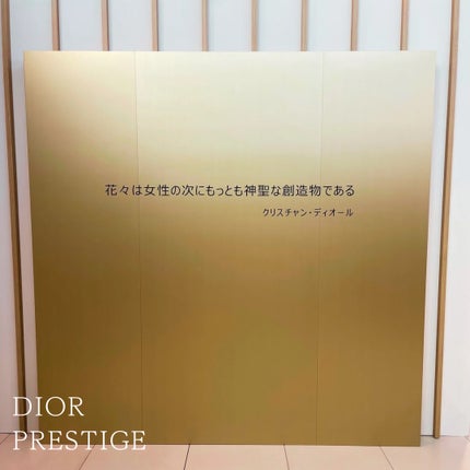 プレステージ マイクロ ユイル ド ローズ セラム/Dior/美容液を使ったクチコミ(5枚目)