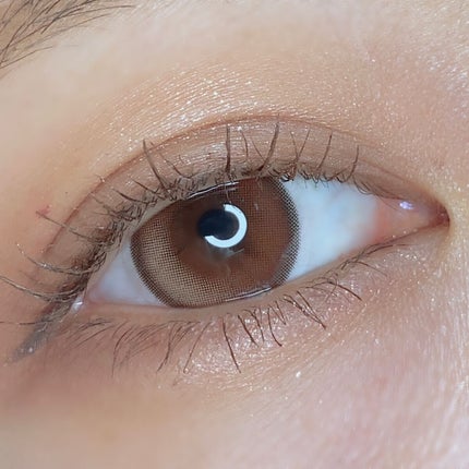 ウィッシュリングベージュ/ann365lens/カラーコンタクトレンズを使ったクチコミ(4枚目)