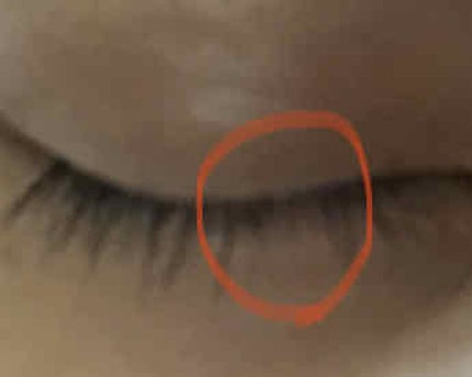 スカルプD ボーテ ピュアフリーアイラッシュセラム/アンファー(スカルプD)/まつげ美容液を使ったクチコミ(3枚目)