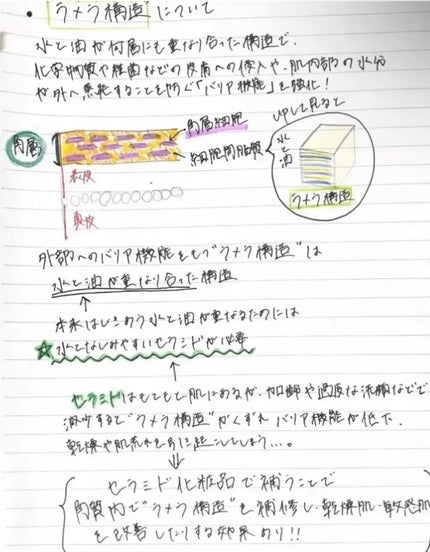 リポソーム アドバンスト リペアセラム/DECORTÉ/美容液を使ったクチコミ(1枚目)