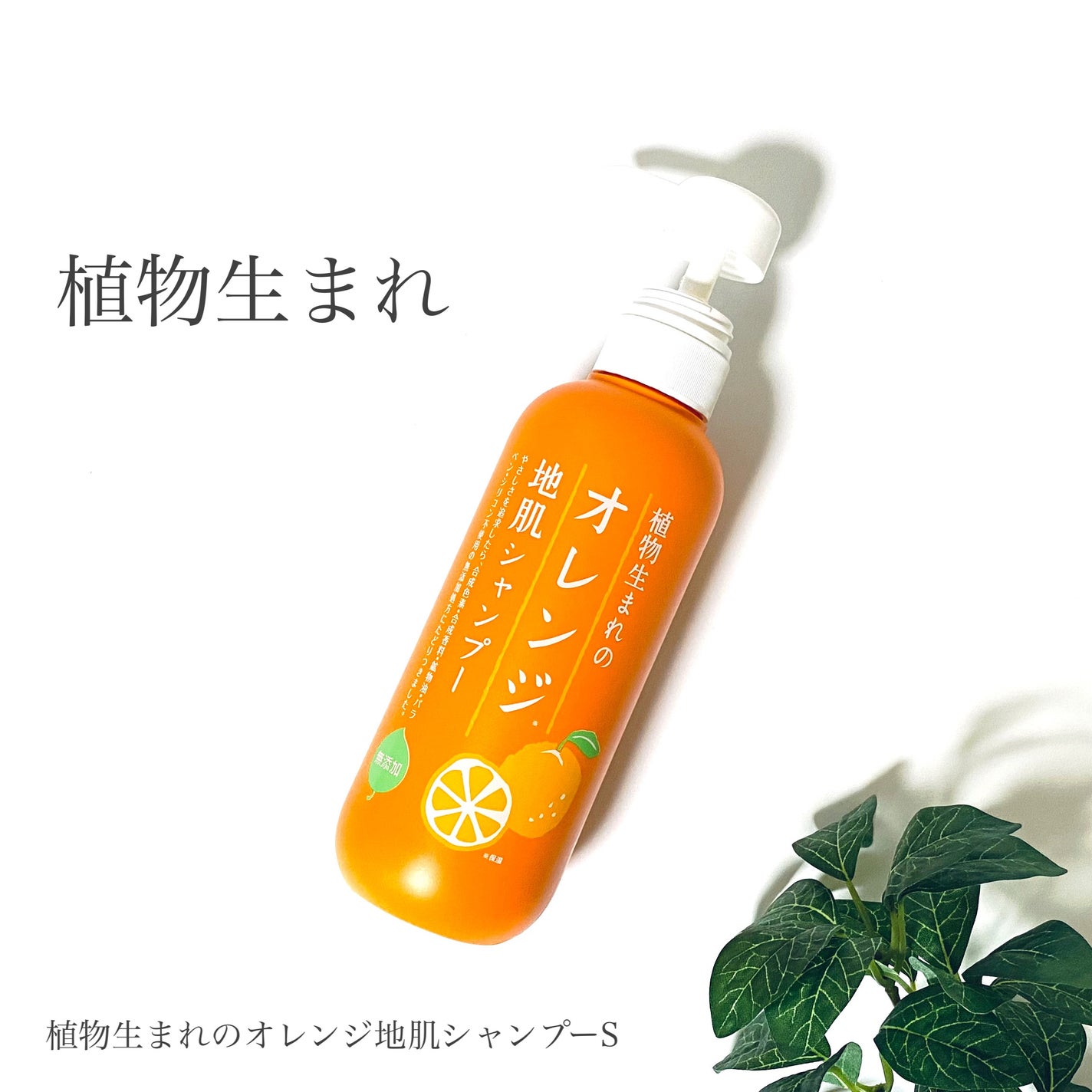 植物生まれのオレンジ地肌シャンプーS/オレンジ果汁トリートメントN/石澤研究所/市販シャンプーを使ったクチコミ(1枚目)