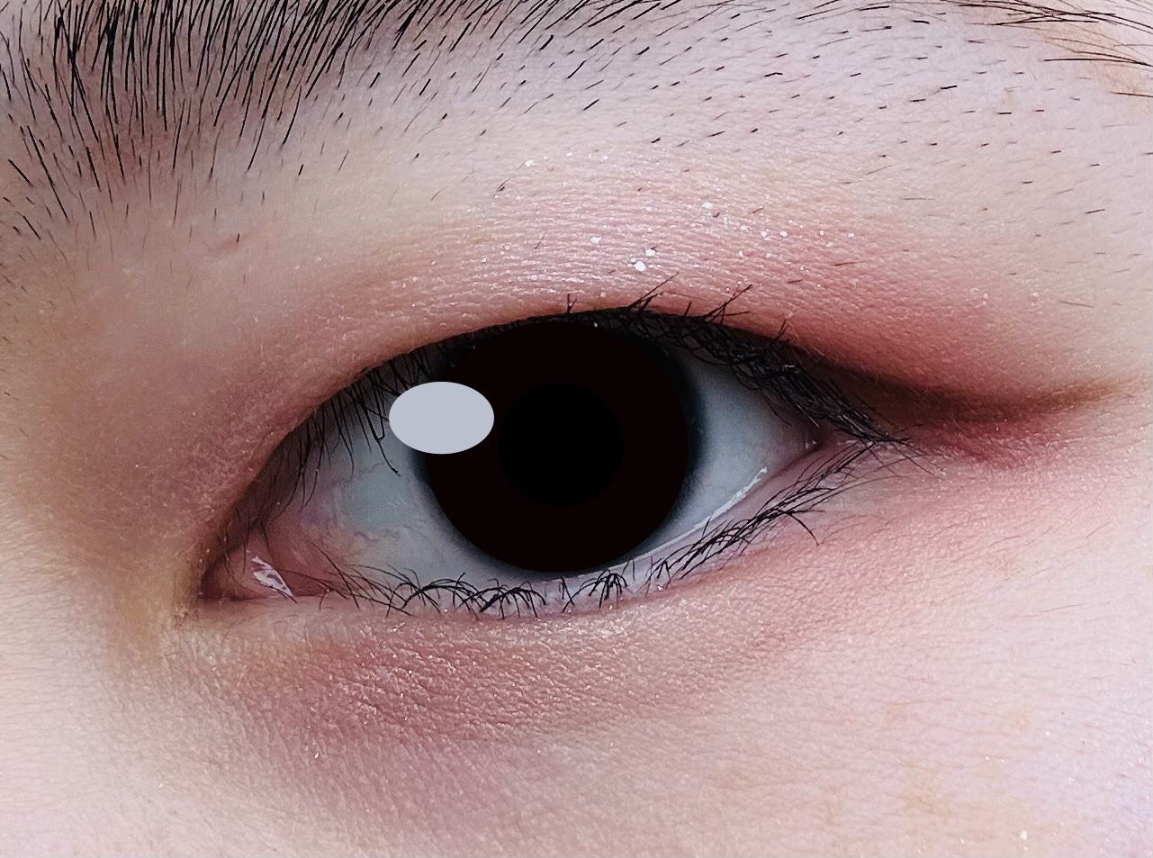 アイシャドウパレット/coou/アイシャドウパレットを使ったクチコミ（2枚目）