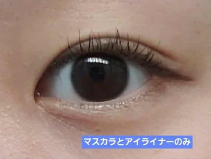 シルキーリキッドアイライナーWP/D-UP/リキッドアイライナーを使ったクチコミ(6枚目)