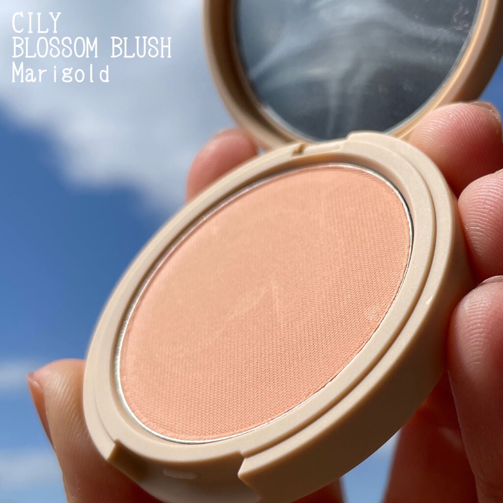 シルキーリップ/CILY/口紅を使ったクチコミ(3枚目)