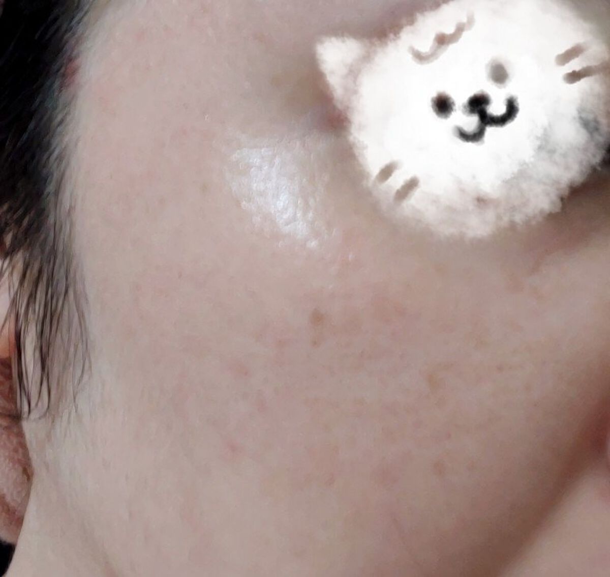 を使ったクチコミ（1枚目）