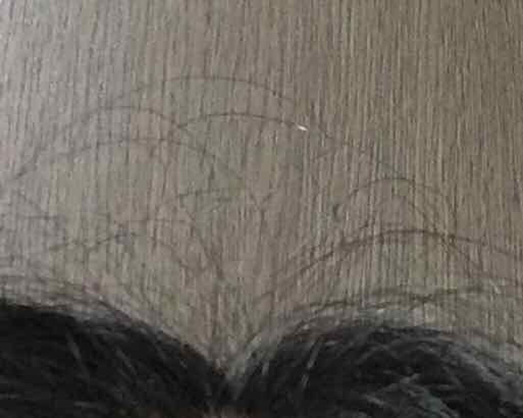 オイルトリートメント #EXヘアオイル/ルシードエル/ヘアオイルを使ったクチコミ(2枚目)