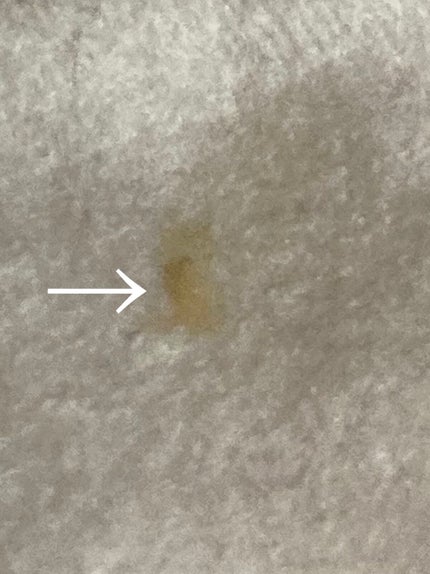 ノーモアブラックヘッド(ノーズピーリング)/One-day's you/スクラブ・ゴマージュを使ったクチコミ(1枚目)