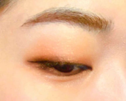 グロッシーリッチ アイズ N/Visée/アイシャドウパレットを使ったクチコミ(4枚目)