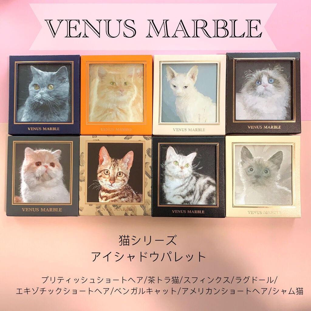 Venus Marble アイシャドウキャットシリーズ/Venus Marble/アイシャドウパレットを使ったクチコミ(2枚目)