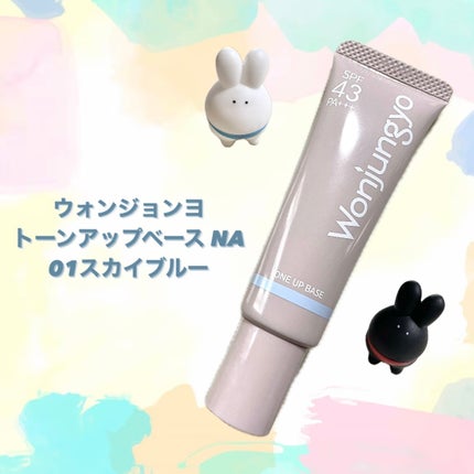 ウォンジョンヨ トーンアップベース NA/Wonjungyo/化粧下地を使ったクチコミ(1枚目)