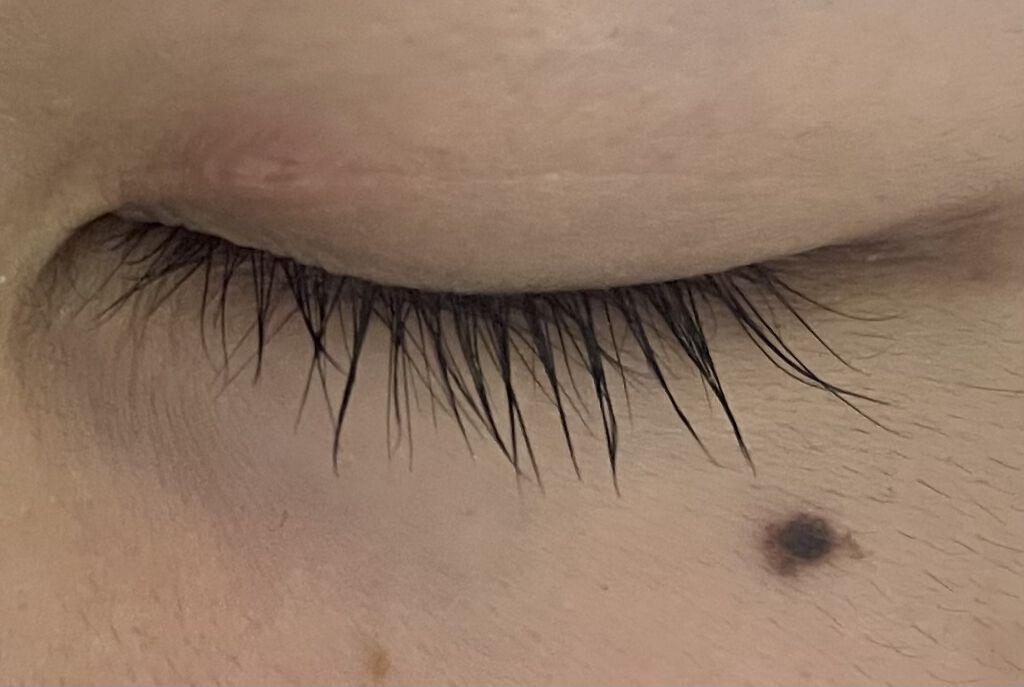 EMAKED（エマーキット）/水橋保寿堂製薬/まつげ美容液を使ったクチコミ（2枚目）