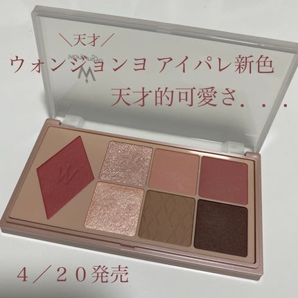 ウォンジョンヨ W デイリームードアップパレット /Wonjungyo/アイシャドウパレットを使ったクチコミ(1枚目)