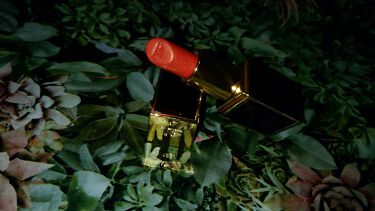 リップ カラー 46 サムシング ワイルド Tom Ford Beauty トムフォードビューティ Lips