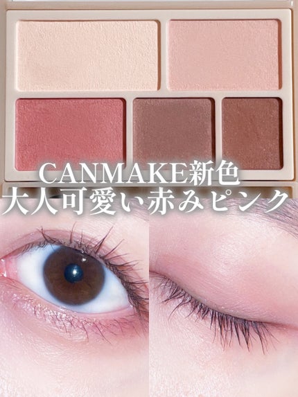 パーフェクトマルチアイズ/キャンメイク/アイシャドウパレットを使ったクチコミ(1枚目)