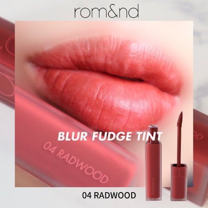 rom&nd ブラーファッジティント/rom&nd/リップティントを使ったクチコミ(1枚目)