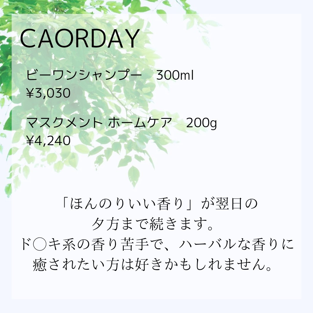 カオルデイ ビーワンシャンプー/ハル コスメティックス/市販シャンプーを使ったクチコミ（2枚目）