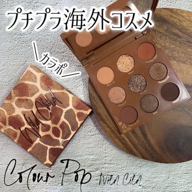 natu@フォロバ on LIPS 「✔️ColourPop（カラーポップ）/WILDCHILDプチ..」（1枚目）