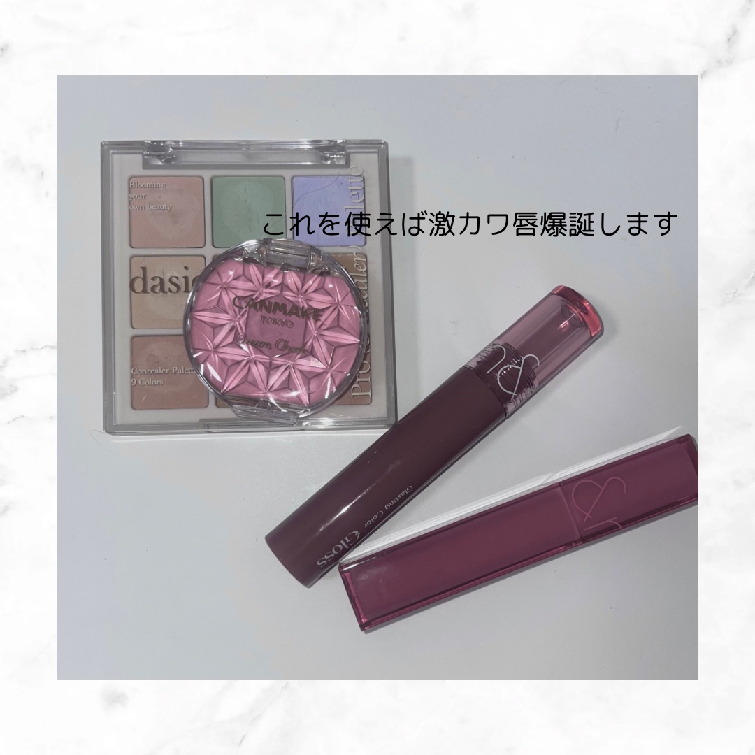 プロコンシーラーパレット/dasique/パレットコンシーラーを使ったクチコミ（1枚目）